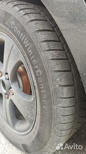 Continental ContiWinterContact TS 830 P 205/60 R16