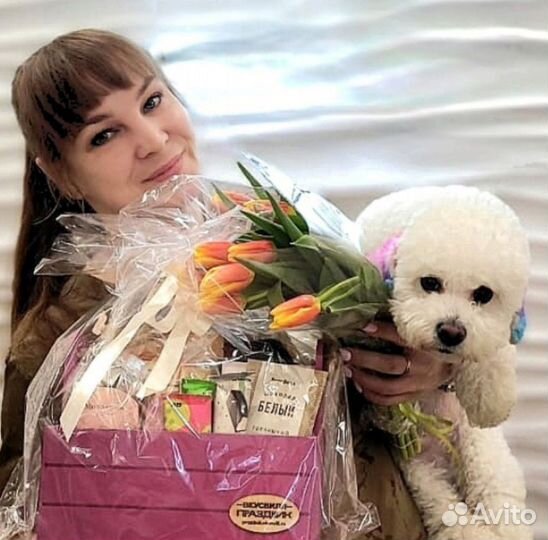 Стрижка собак.Грумер Марта. УЗ чистка зубов