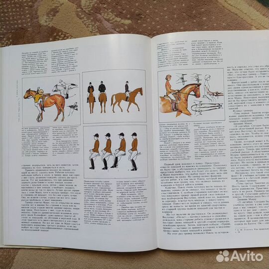 Книги конный спорт