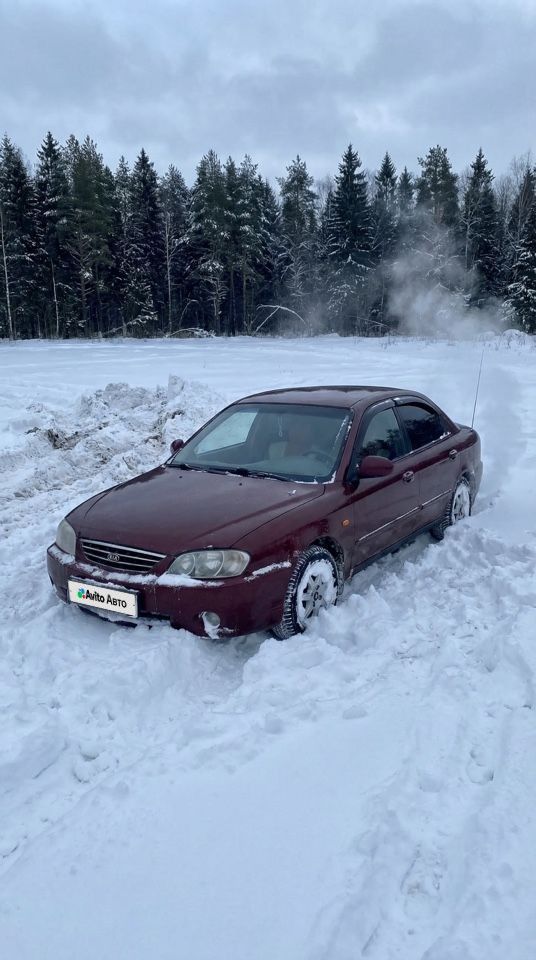 Kia Spectra: фото из отзыва