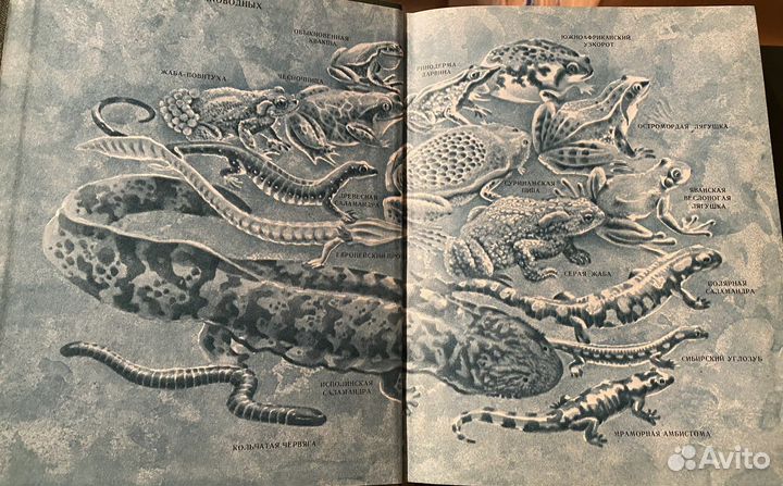 Жизнь животных в 7 томах