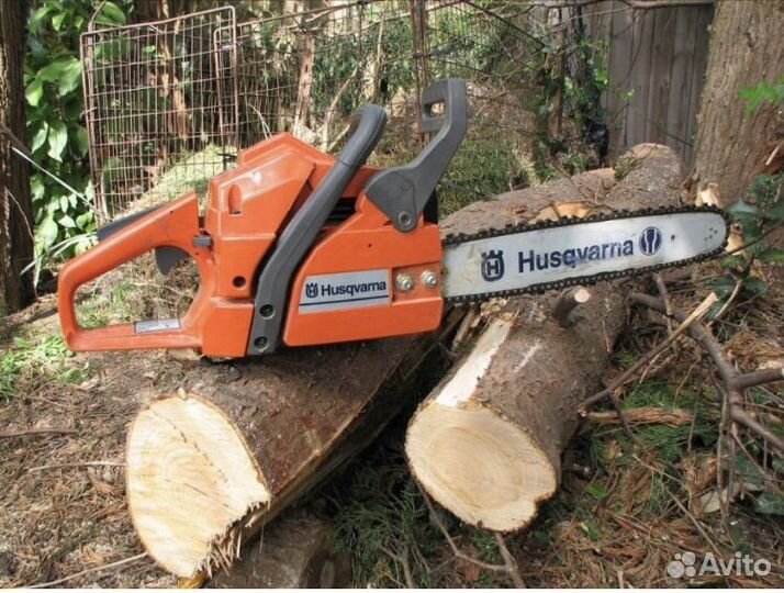 Спил деревьев