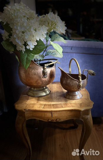 Зольник медный Голландия