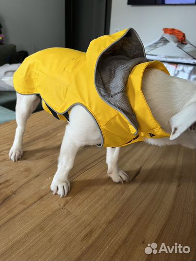 Куртка дождевик