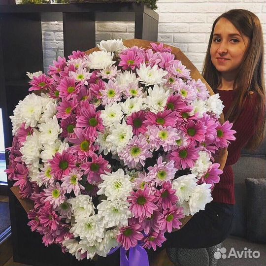 Букет из 51 кустовых хризантем Владимир