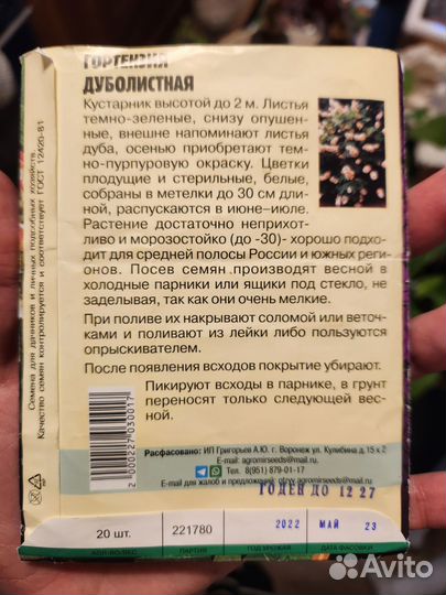 Саженцы дуболистной гортензии