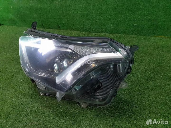 Фара правая Toyota RAV4