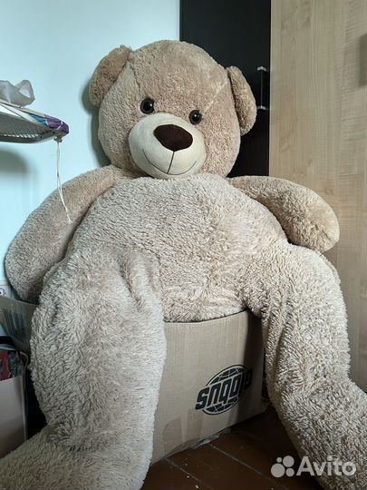 Плюшевый медведь