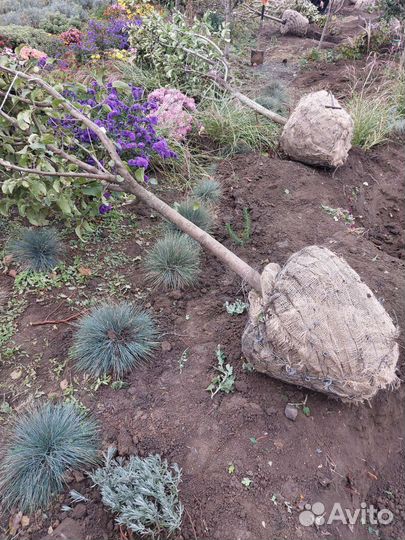 Крупномеры на ком от 3 лет