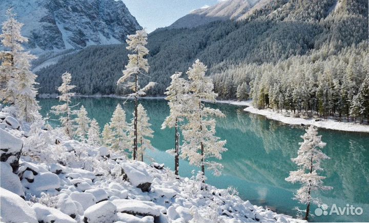 Путевка Алтай зимний экскурсии до 7-ми дн