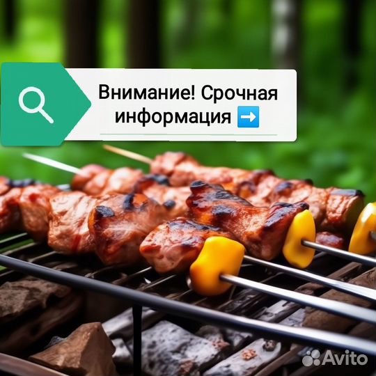 Страхование от клеща