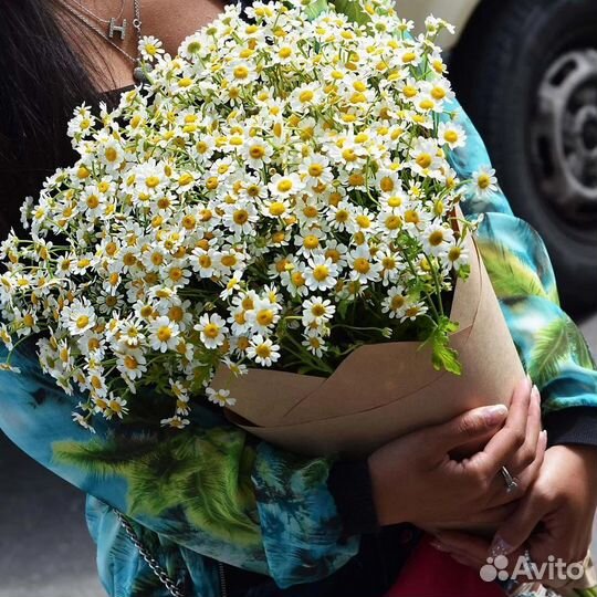 Ромашки с доставкой