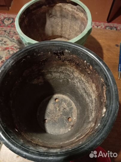 Горшки бесплатно