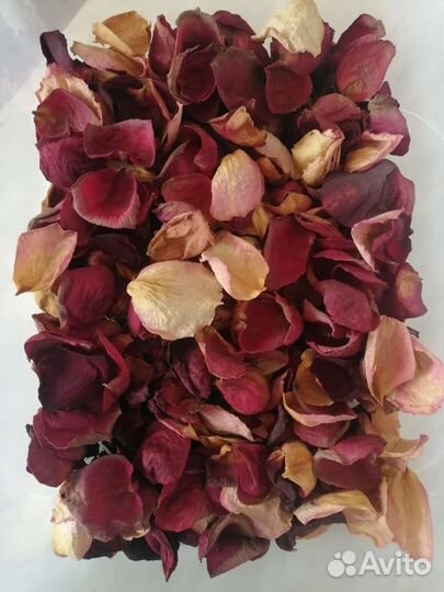 Сухие лепестки роз, бутоны