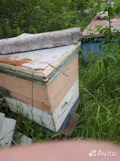 Продам улья пчелиные, бу