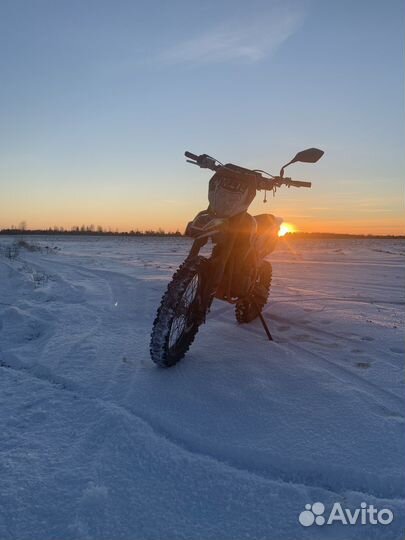 Regulmoto athlete 250