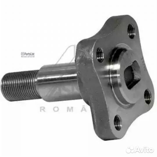 Asam-SA 30247 Цапфа