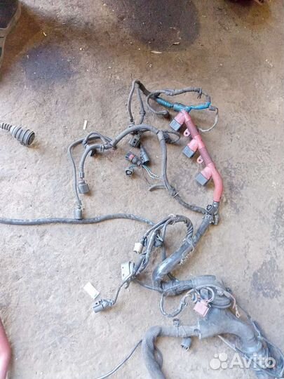 Проводка двигателя 3,2 Audi A6 C6 BKH