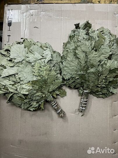 Дубовый веник