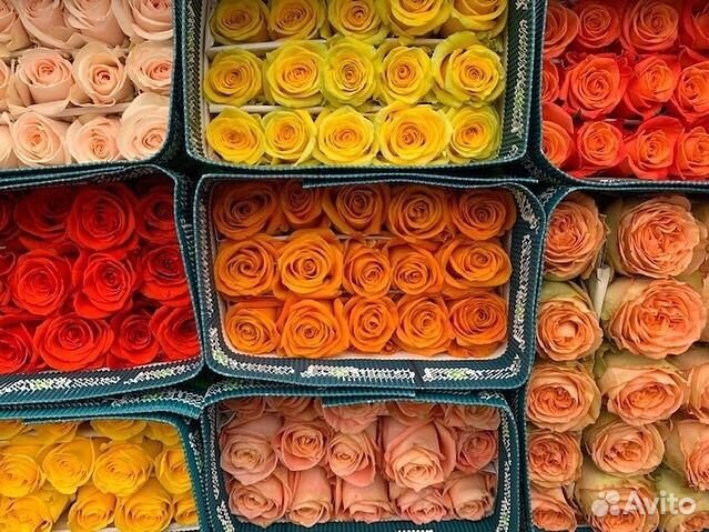 Цветы оптом. Розы. Букеты. Доставка