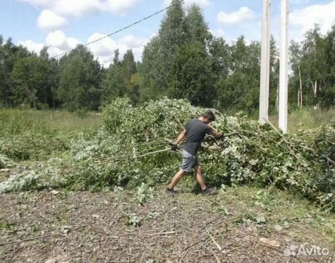 Покос травы триммером, очистка участка от деревьев