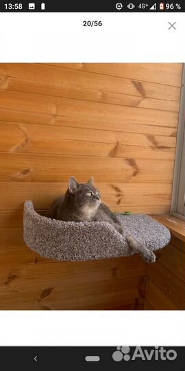 Полка для кота