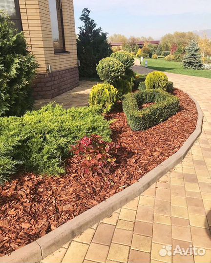 Кора лиственницы