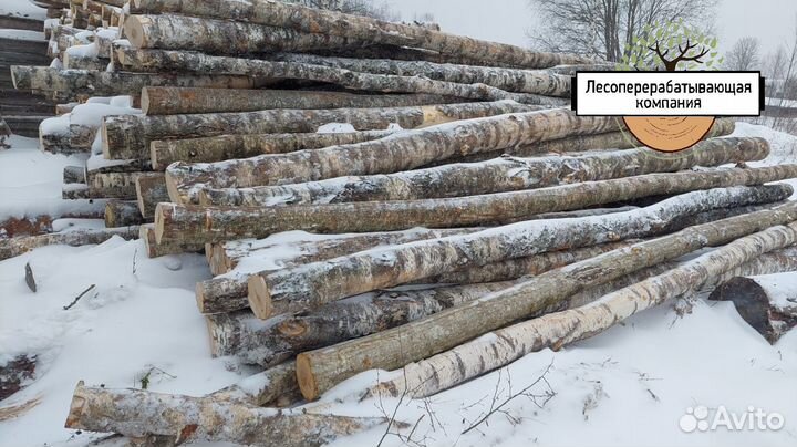 Баланс Березовый. Большие объемы