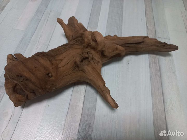 Коряга, компрессор тетра, Аквариум