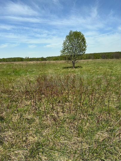 Участок 6 сот. (ИЖС)