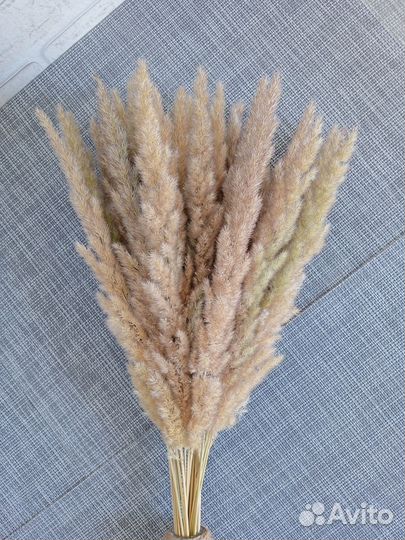 Букеты цветов сухоцветы с вазой, Вейник