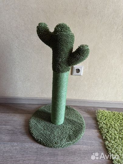 Когтеточка «Кактус»
