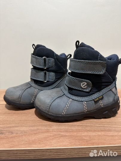 Демисезонные ботинки для мальчика ecco 23