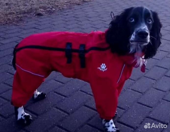 Комбинезон для собаки asmpet