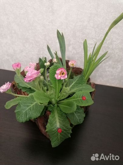 Цветочные композиции