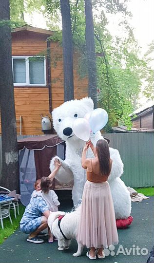 Белый мишка поздравление