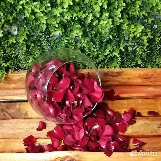 Лепестки роз