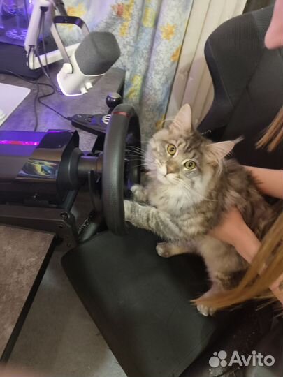 Игровой руль 900 градусов