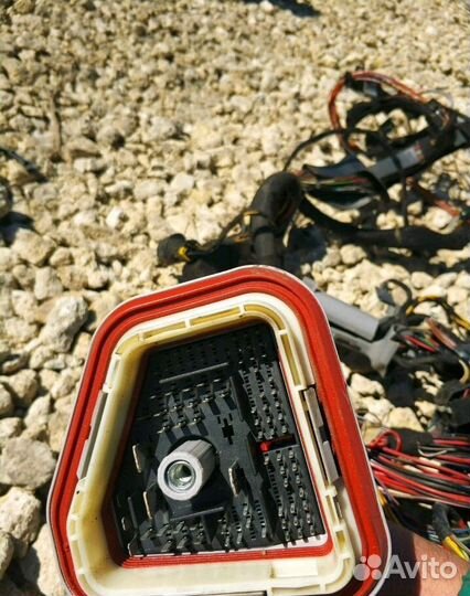 Коса проводка Opel Astra G Chevrolet Viva z18xe