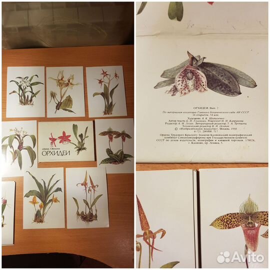 Открытки, наборы о комнатных растениях