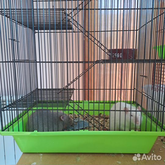 Большая клетка для крыс или хомяков