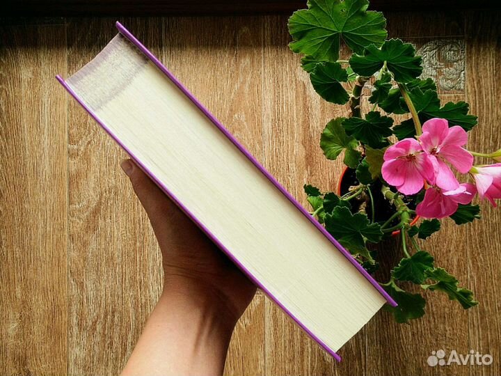 Приключения Тома Сойера&Гекльберри Финна Марк Твен