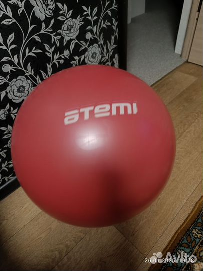 Гимнастический мяч