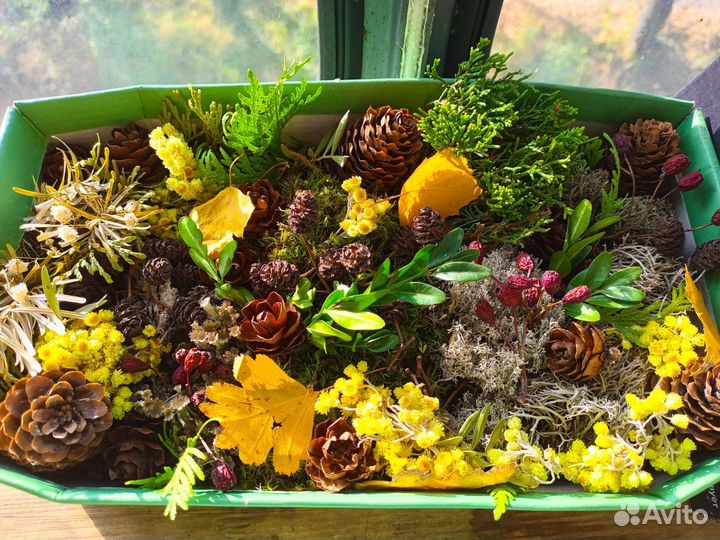 Природный материал для творчества