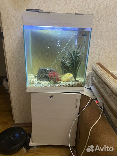 Аквариум 90 литров с тумбой