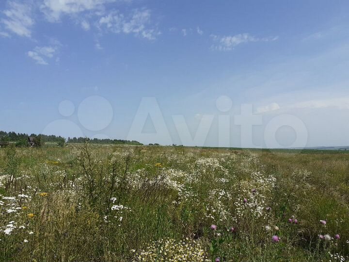 Участок 15 сот. (ИЖС)