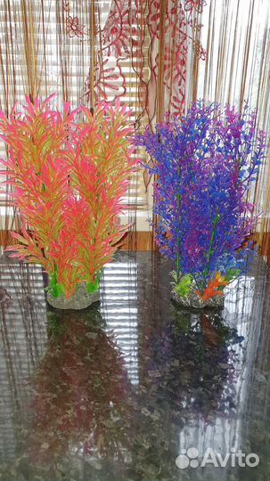 Растения для аквариума