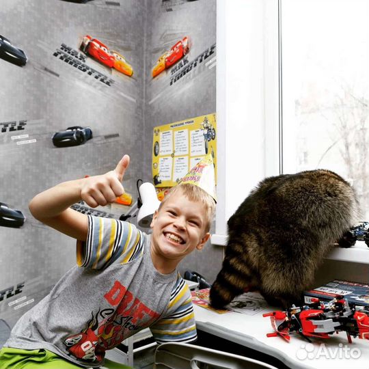 Енотик на праздник