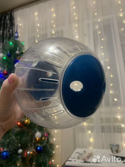 Прогулочный шар для грызунов