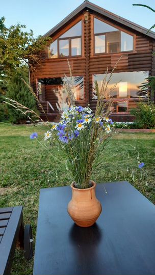 Коттедж 174 м² на участке 20 сот.